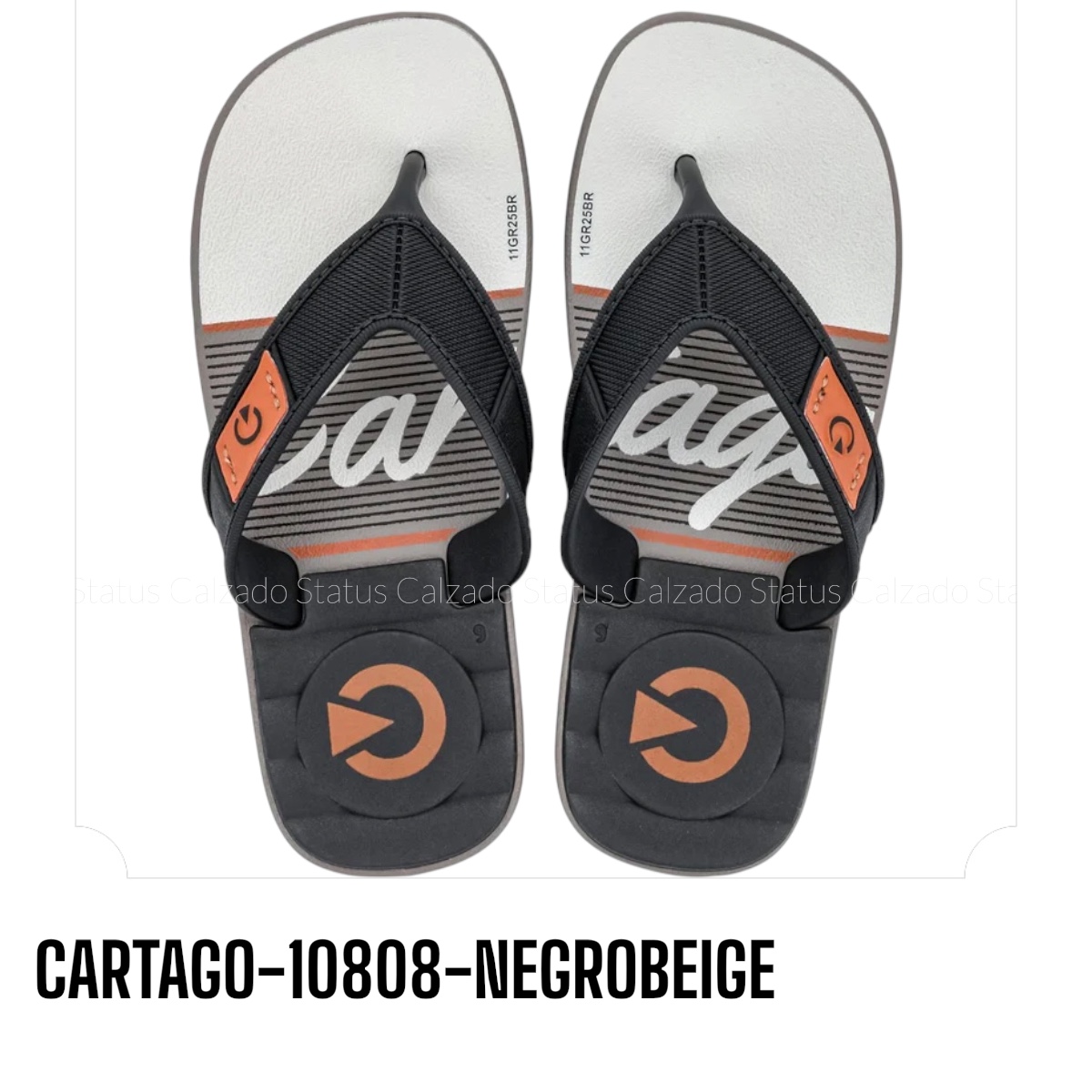 CARTAGO-10808-NEGROBEIGE