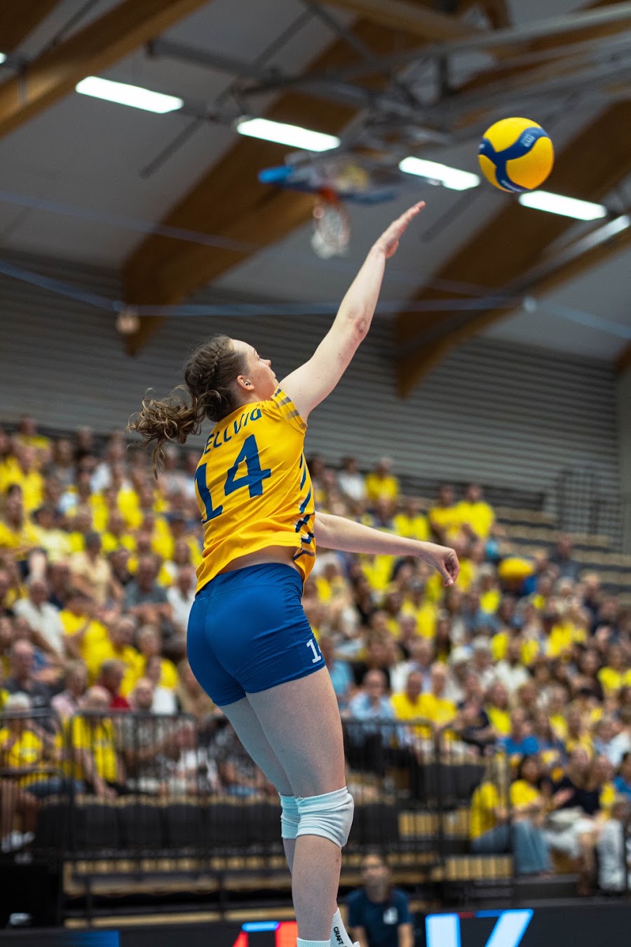 Sweden Hungary 336
