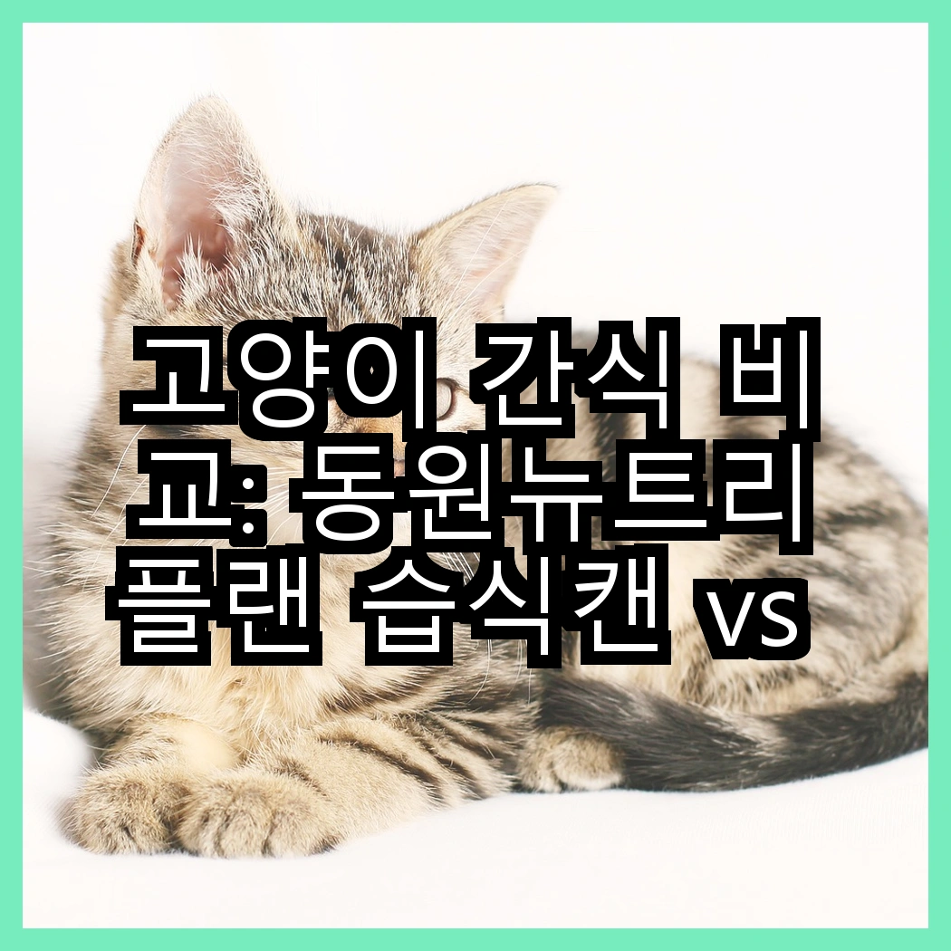 고양이 간식 비교: 동원뉴트리플랜 습식캔 vs 모이스트루, 어떤 선택이 더 맛있을까? 썸네일