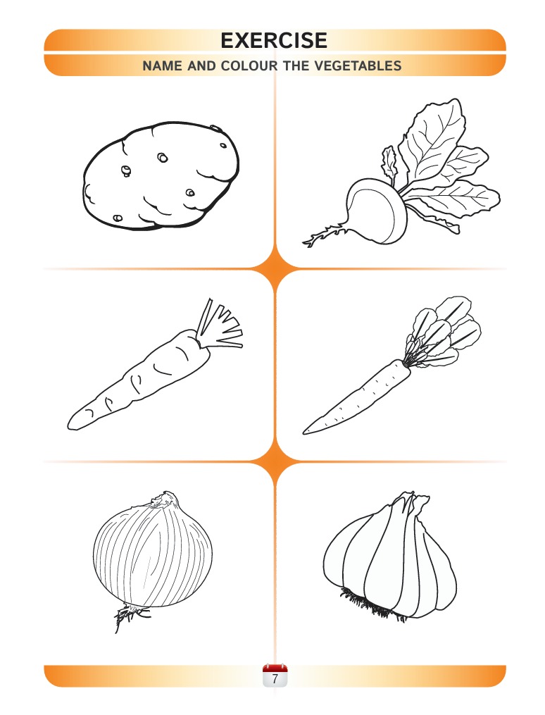 Science Book A - Activity Book