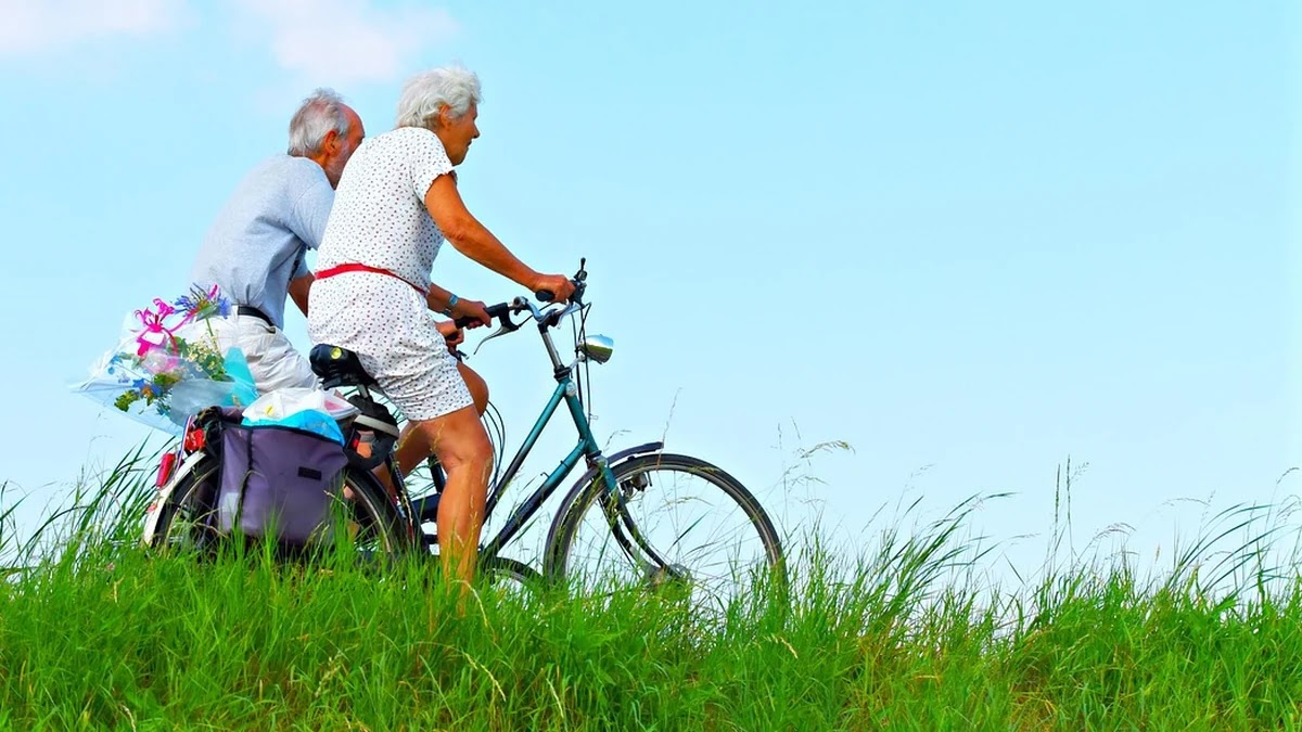 아이패드와 갤럭시탭 디스플레이 기술과 활용 차이