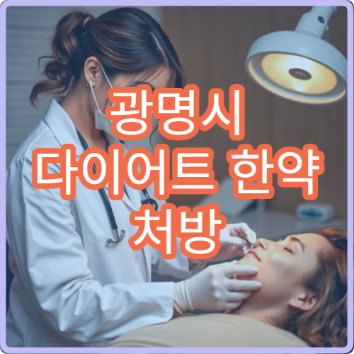 광명시 다이어트 한약 처방 비만 클리닉 운영 체중 관리 한의원