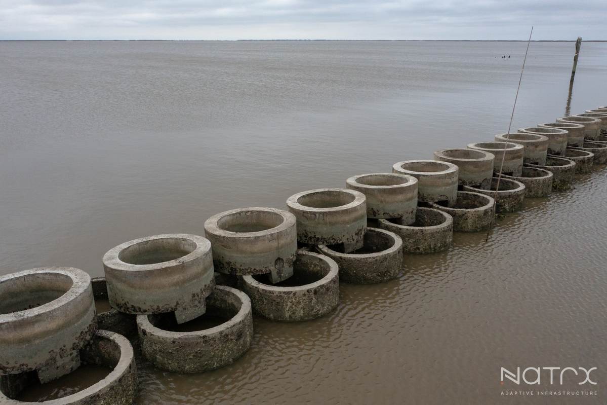 01.08.25 - Cypermort Point Oysterbreaks-16.jpg