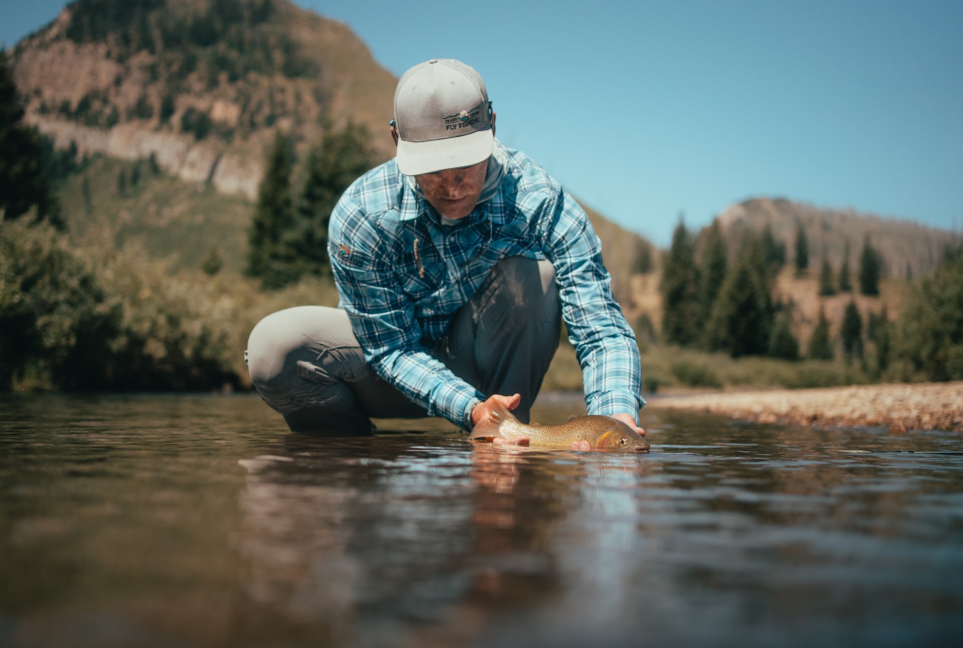 Releasing a native cutthroat