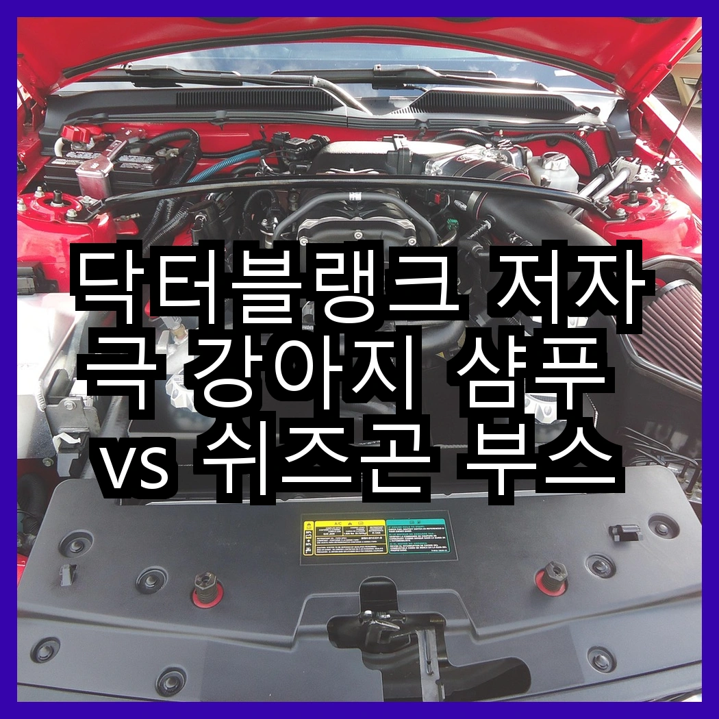 닥터블랭크 저자극 강아지 샴푸 vs 쉬즈곤 부스트 캣 샴푸, 어떤 향이 더 매력적일까? 썸네일