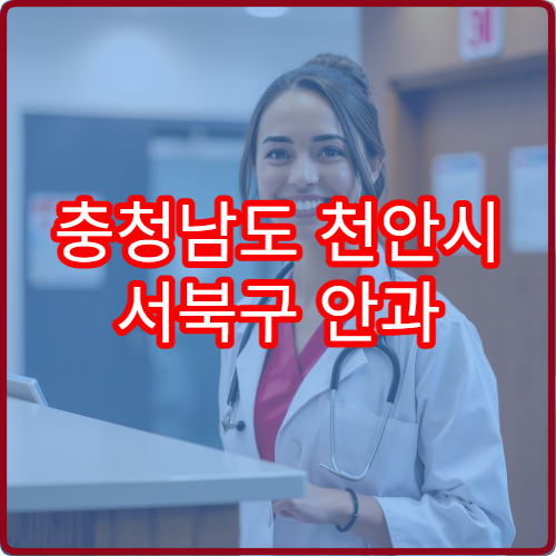 충청남도 천안시 서북구 안과 설날 연휴 휴일 진료 가능한 병원 위치
