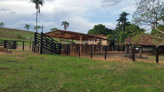 Fazenda em Ipameri-GO 7