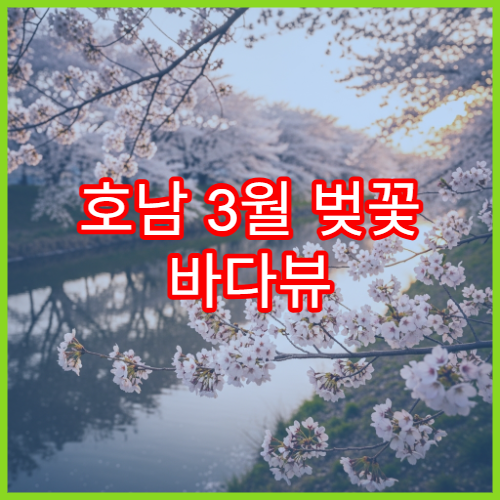 호남 3월 벚꽃 바다뷰 카페·드라이브 추천