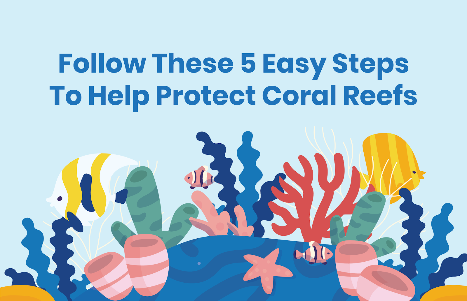 Follow these easy steps to help protect coral reefs. Easy steps protect coral reef, Protect coral reef, help coral reef. CarbonEthics Indonesia