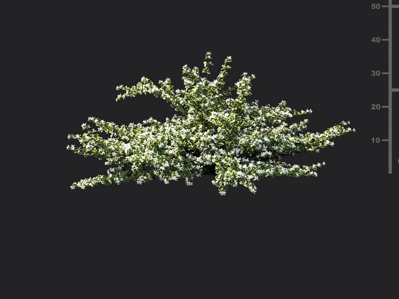 Maxtree - Plant Models Vol.119