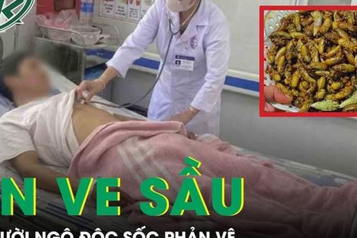 Ăn ve sầu, 9 người bị ngộ độc sốc phản vệ - Báo Sức Khỏe &amp; Đời Sống