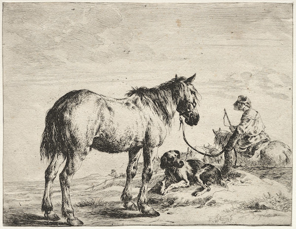 Horse bound to a post