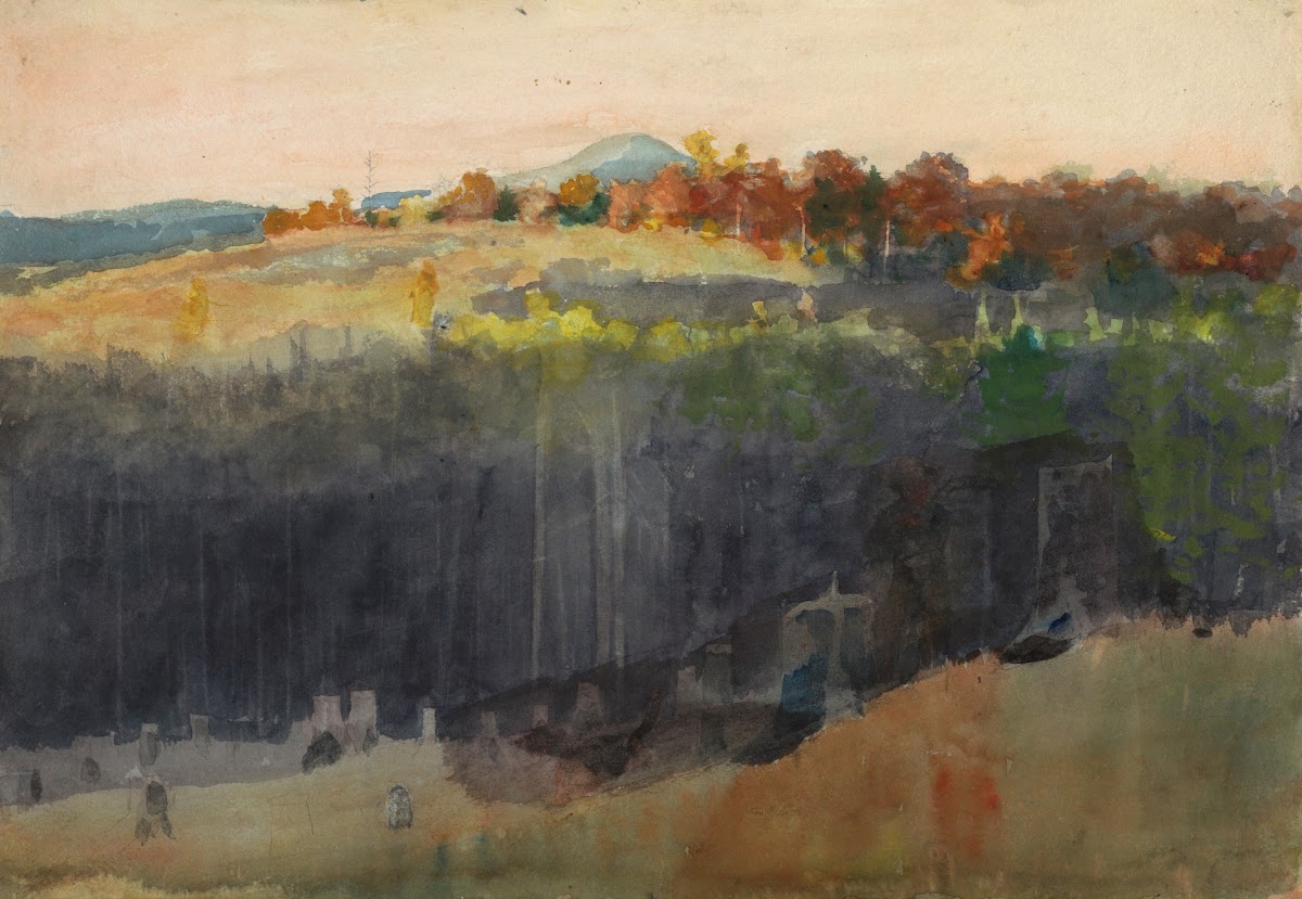 Valley and Hillside Adirondacks 188994