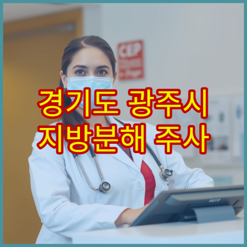 경기도 광주시 지방분해 주사 시술 병원