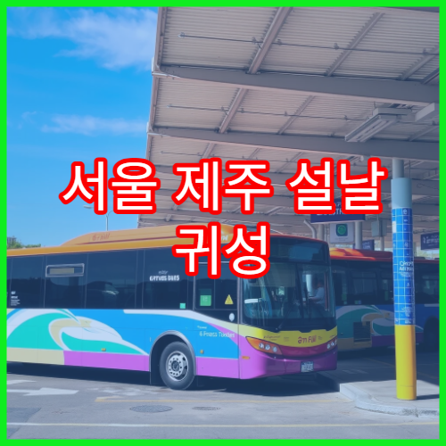 서울 제주 설날 귀성 연계 교통 예약 일정 총정리