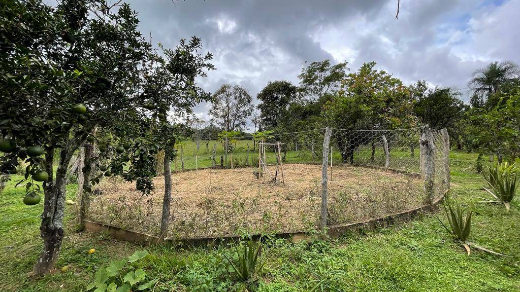 Chácara em Piracanjuba - GO 6