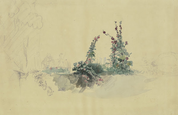 Two hollyhocks
