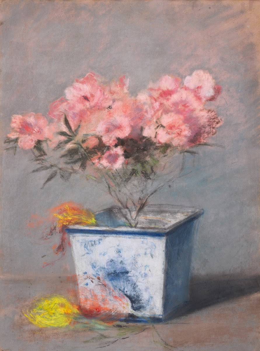 LAzalée rose