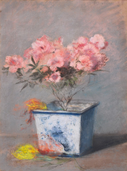 LAzalée rose