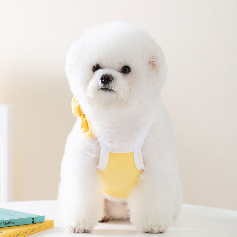 Dog Tank Dress with Bowtie