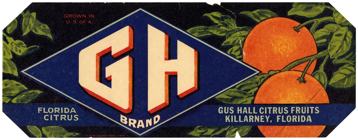 GH Brand Florida Citrus Label 1930 1950