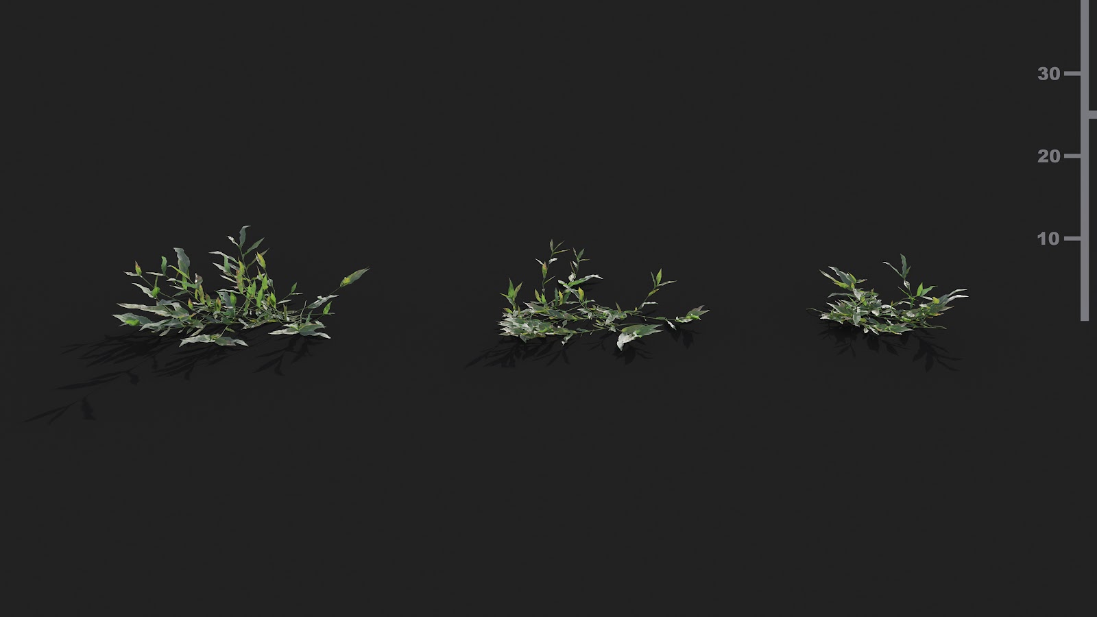 Maxtree - Plant Models Vol.21