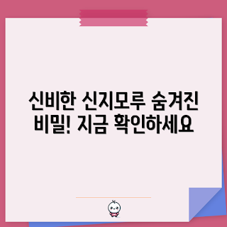 신지모루ctoc, 신지모루 사용법, 신지모루 비밀, 신지모루 후기, 신지모루 기능