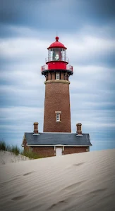 Sun-Drenched Lavender Field
