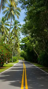 Winding Tropical Road Lined with Palm Trees and Hibiscus