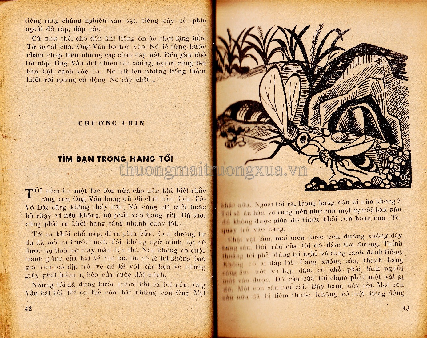 Cuộc phiêu lưu kì lạ của ong vàng (1981) - Trang 21