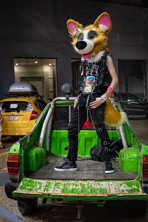 furdu-04239.jpg