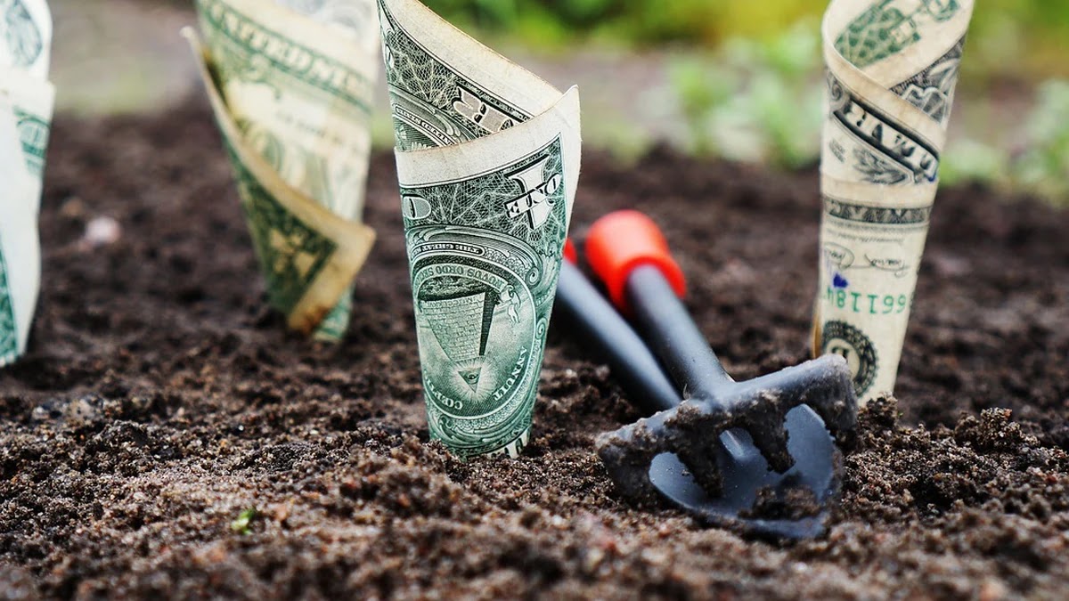 금리 변동이 예·적금과 대출에 미치는 영향과 대응 전략