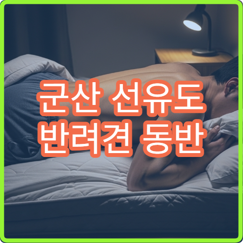 군산 선유도 반려견 동반 벚꽃길 산책 허용 구역 안전 코스