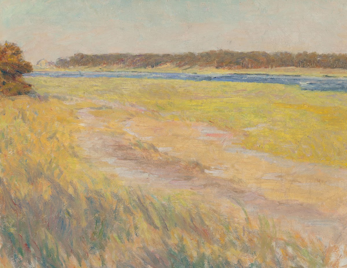 Spring Afternoon Landscape