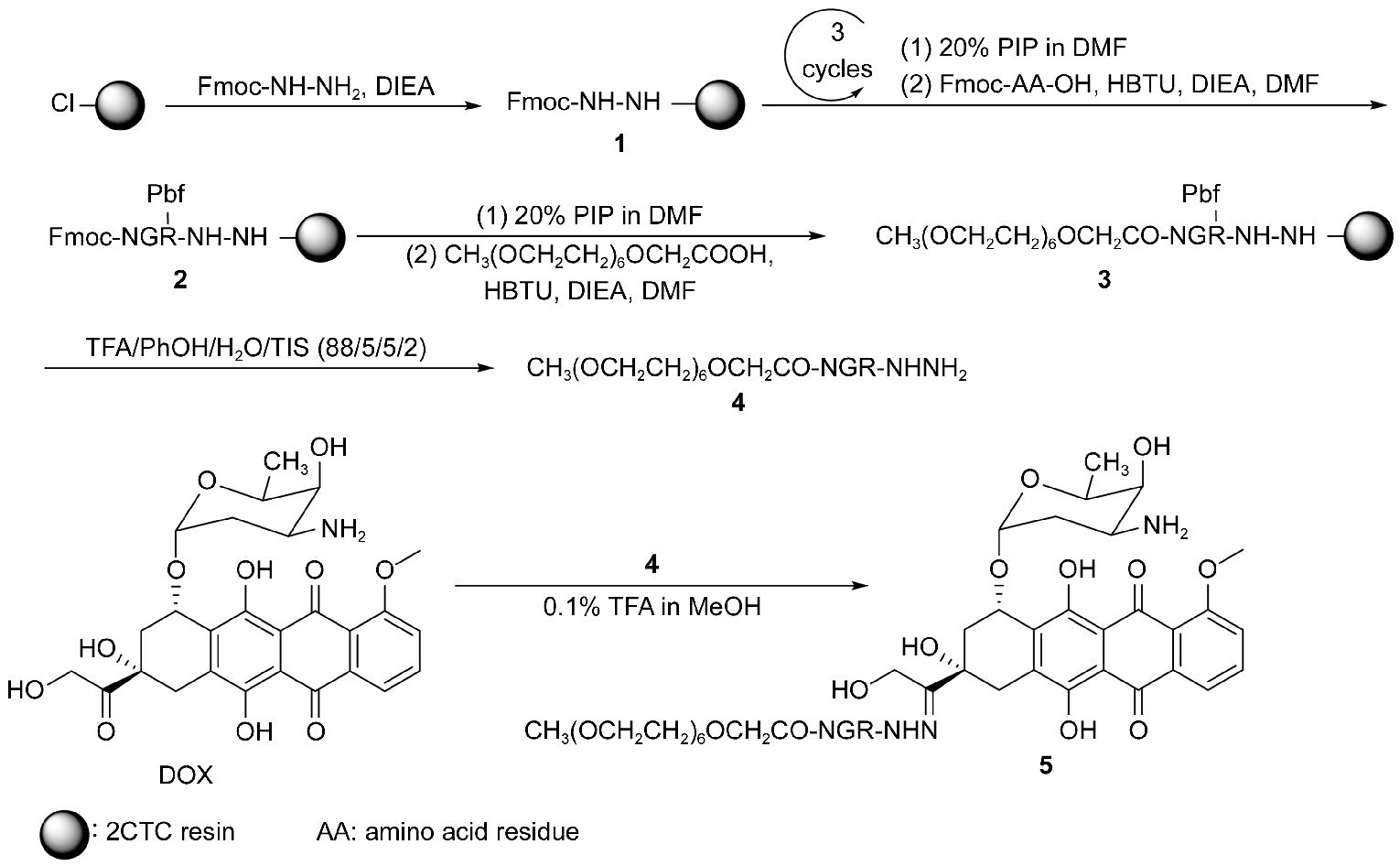 USR Protein Degradation in Hepatocellular Carcinoma: A Novel Therapeutic Target