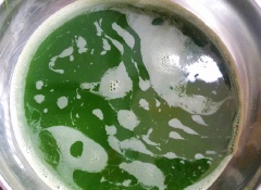 Lá dứa rửa sạch, cắt khúc, cho vào máy xay nhuyễn lọc lấy nước cốt.