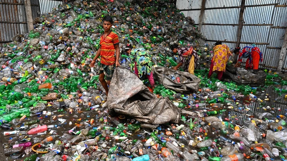 자취 생활 중 발생하는 쓰레기 분리배출 기준과 관리법