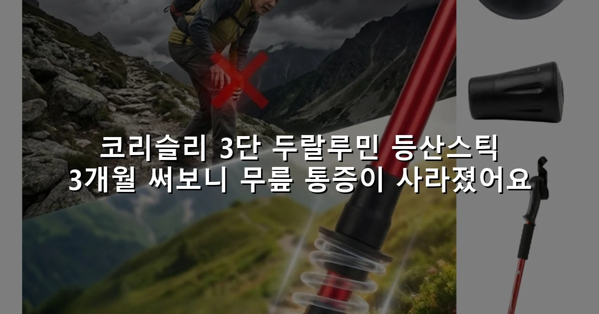 코리슬리 3단 두랄루민 등산스틱 3개월 써보니 무릎 통증이 사라졌어요