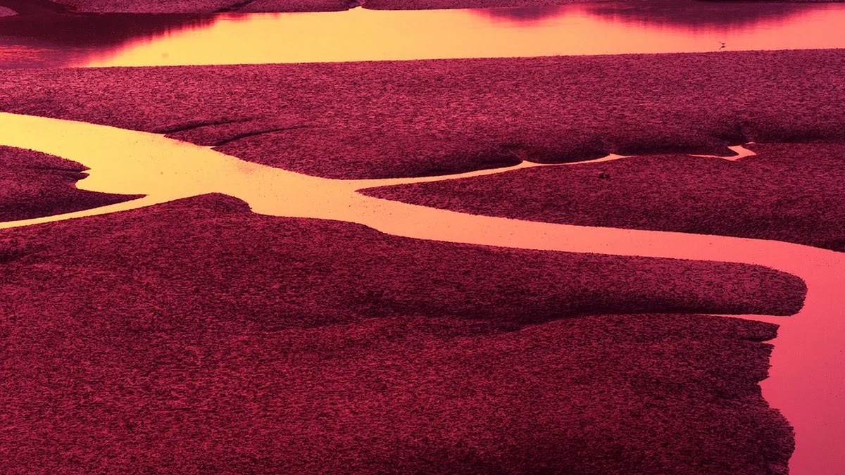 간 해독 기능과 혈중 수치 변화 구조 이해하기