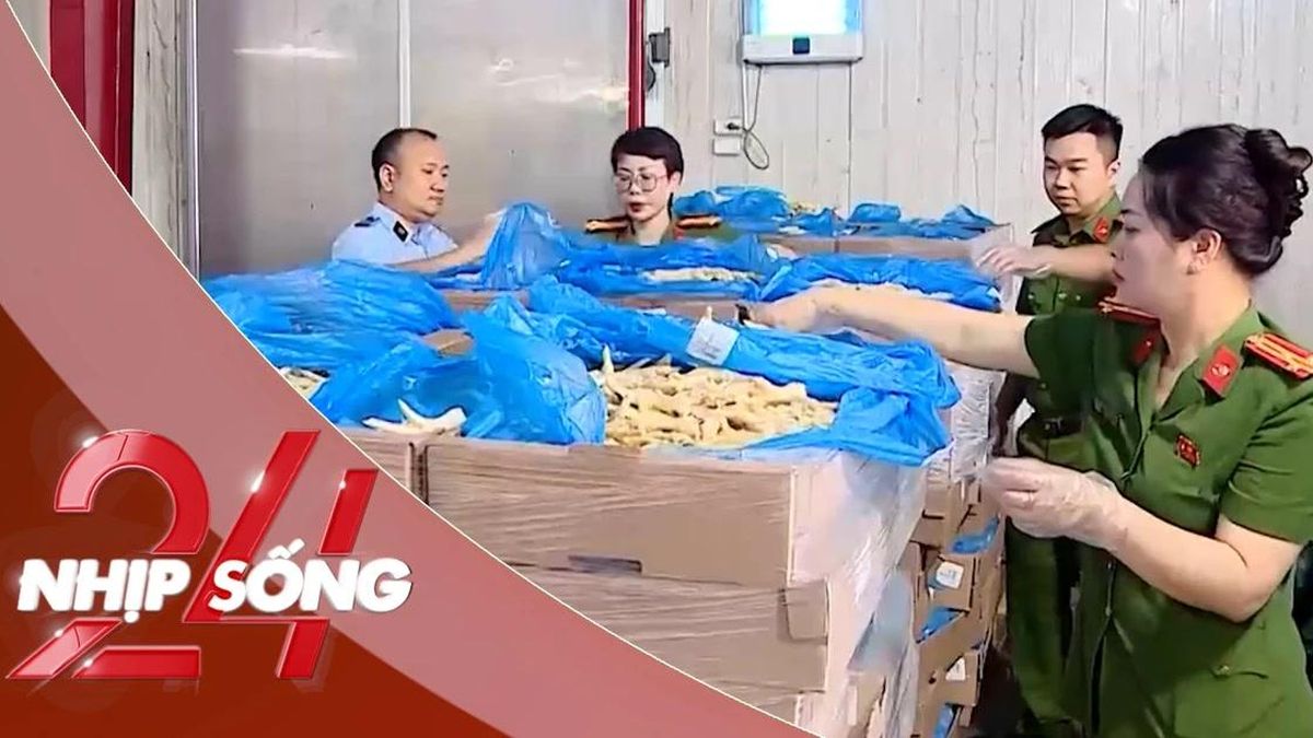 NHỊP SỐNG 24: Cận cảnh 260 tấn chân gà hết hạn, bốc mùi trong kho hàng của đường dây buôn lậu - Báo Tiền Phong
