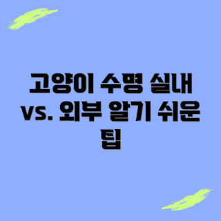 고양이 수명, 실내 생활, 외부 생활, 초보 고양이 주인, 고양이 관리 팁