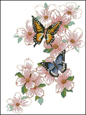 CMP 130041 Two Butterflies On A Flower