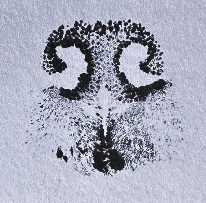 Ink Nose Print