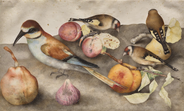 Still Life with Birds and Fruit c 1650