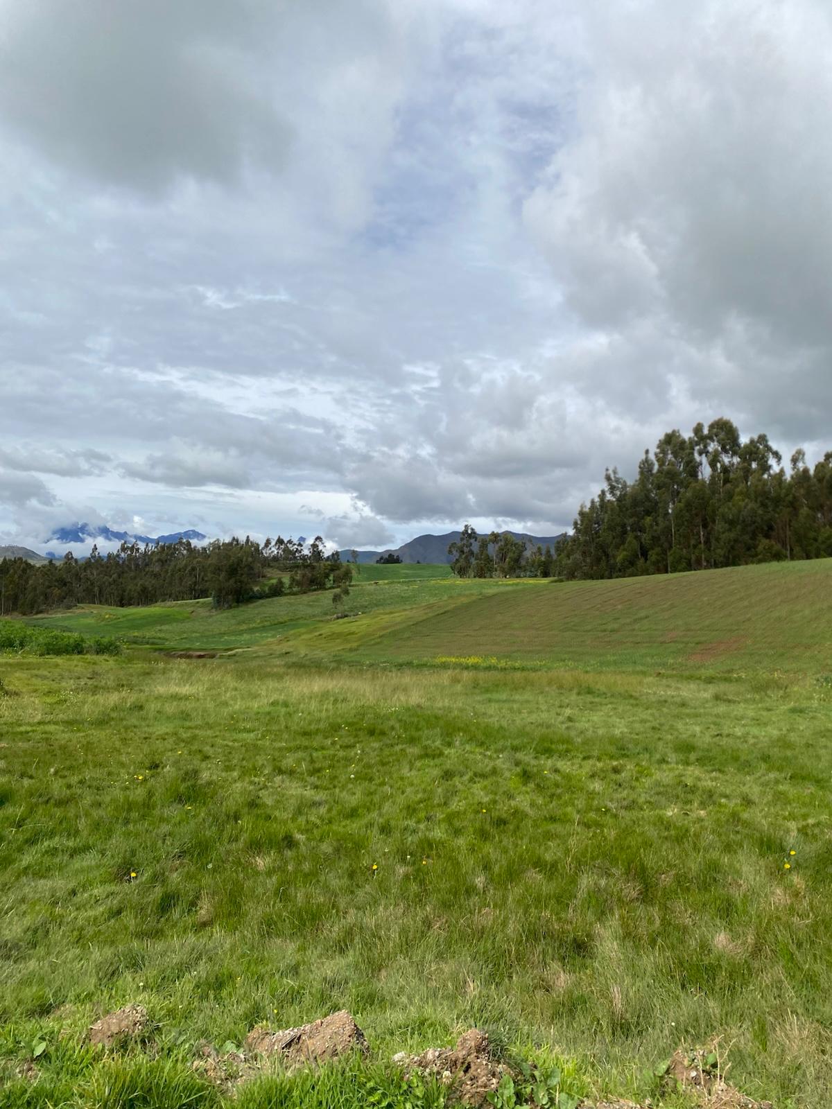 Imagen 5 de Terreno