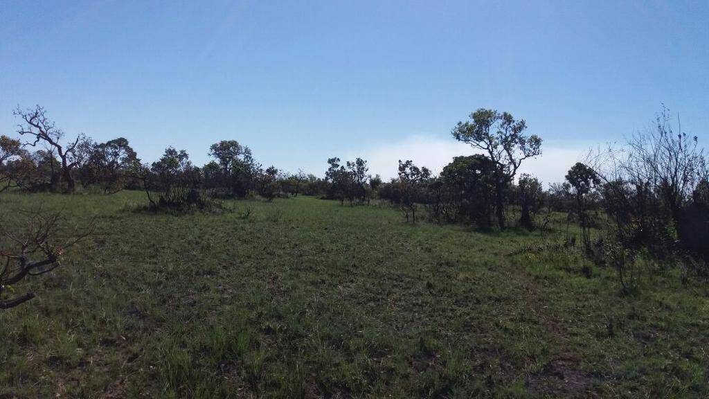 Fazenda em São Félix do Araguaia-MT 4