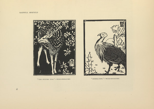 The Spotted Stag Guinea Fowl 1914