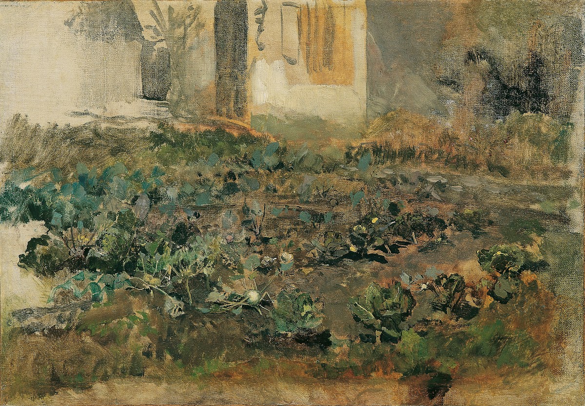 Kohlrübenfeld 1888