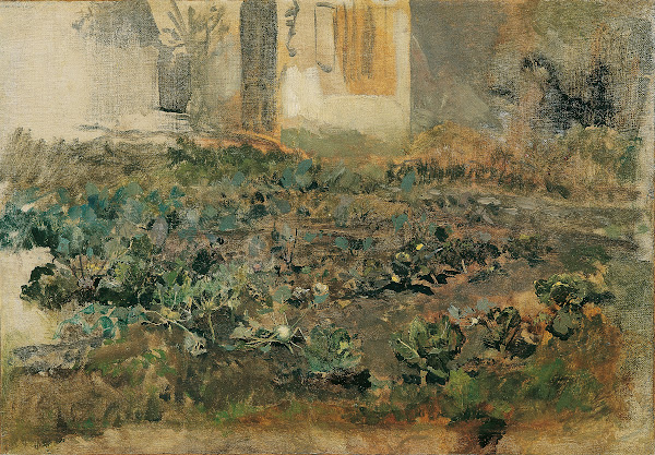 Kohlrübenfeld 1888