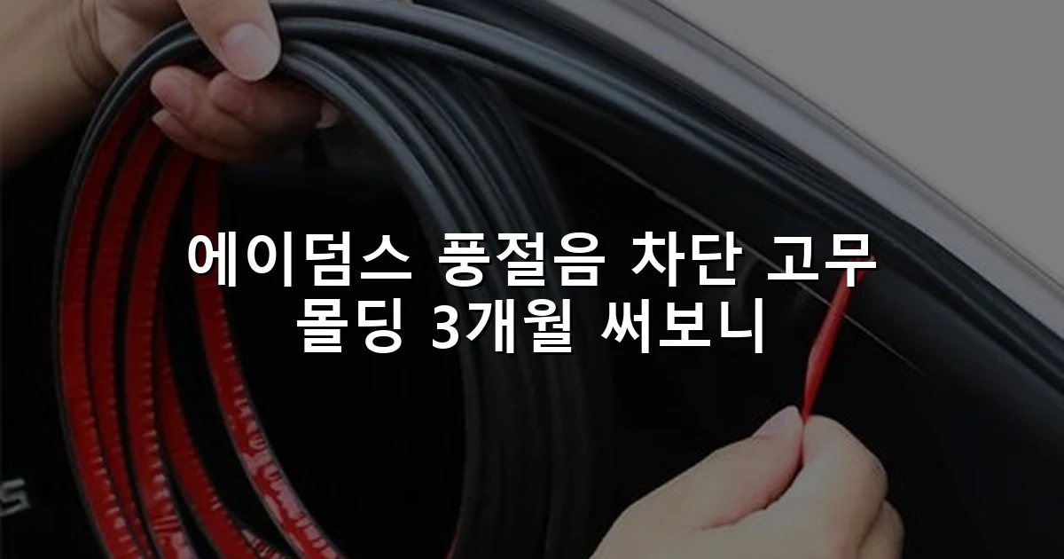 에이덤스 풍절음 차단 고무 몰딩 3개월 써보니